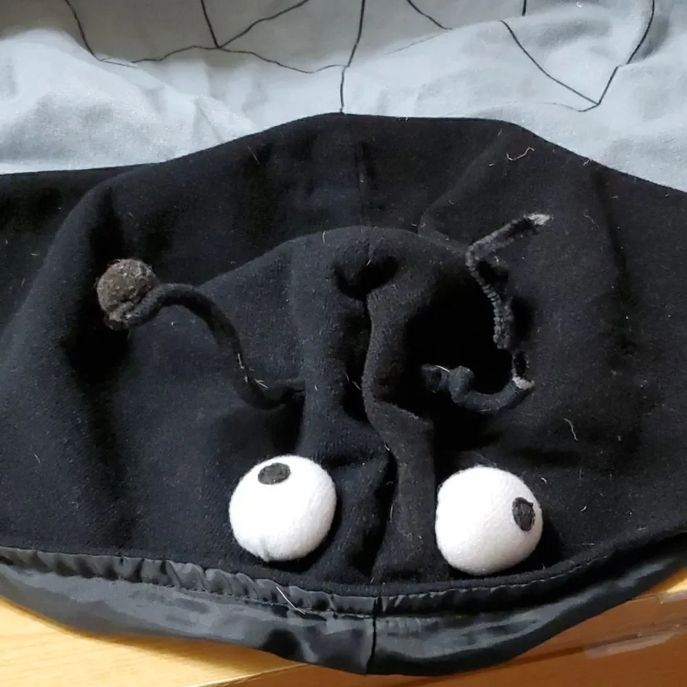 Halloween spider costume for a large dog‎